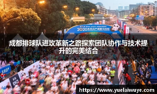 成都排球队进攻革新之路探索团队协作与技术提升的完美结合