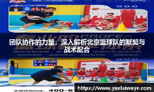 mk体育